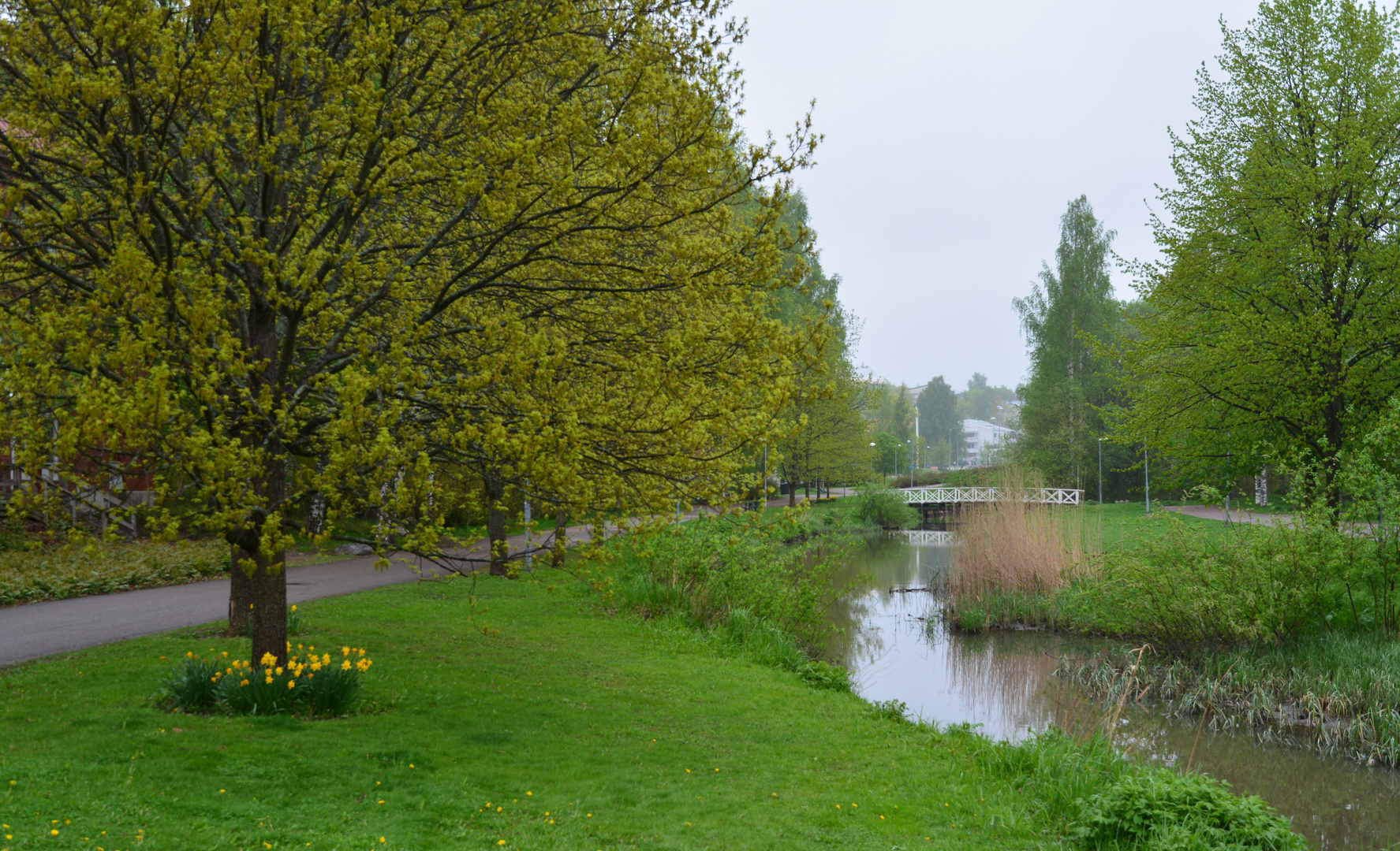 The Haaga brook