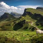 The Habitants of Quiraing