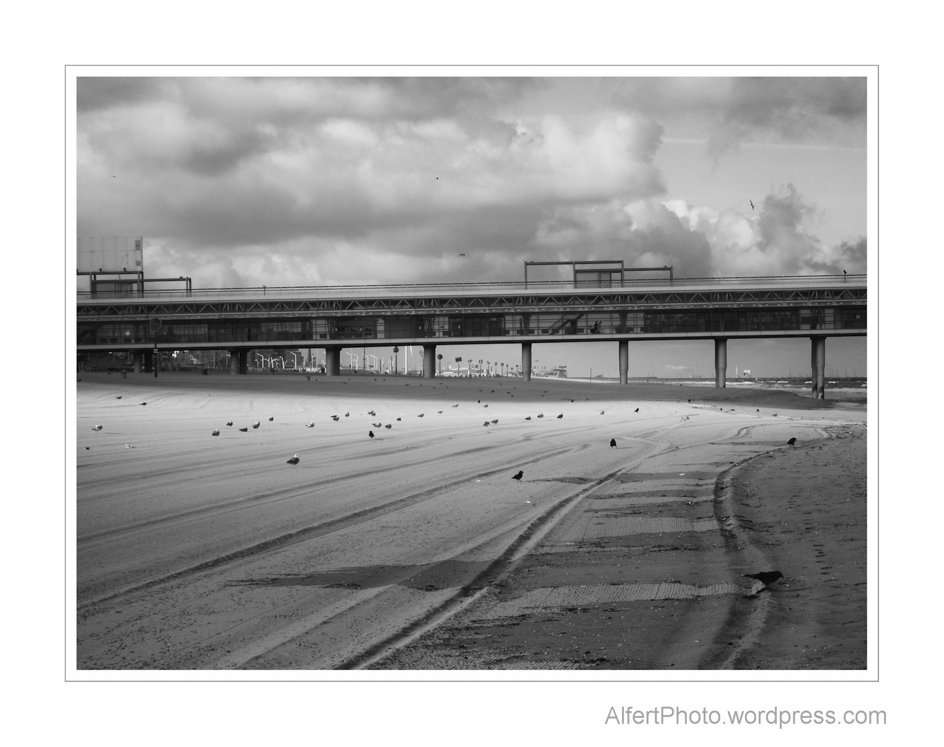 The Hague Beach