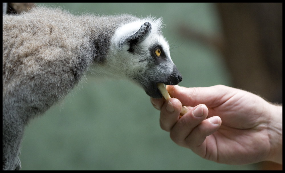 "...........the hand that feeds us........"