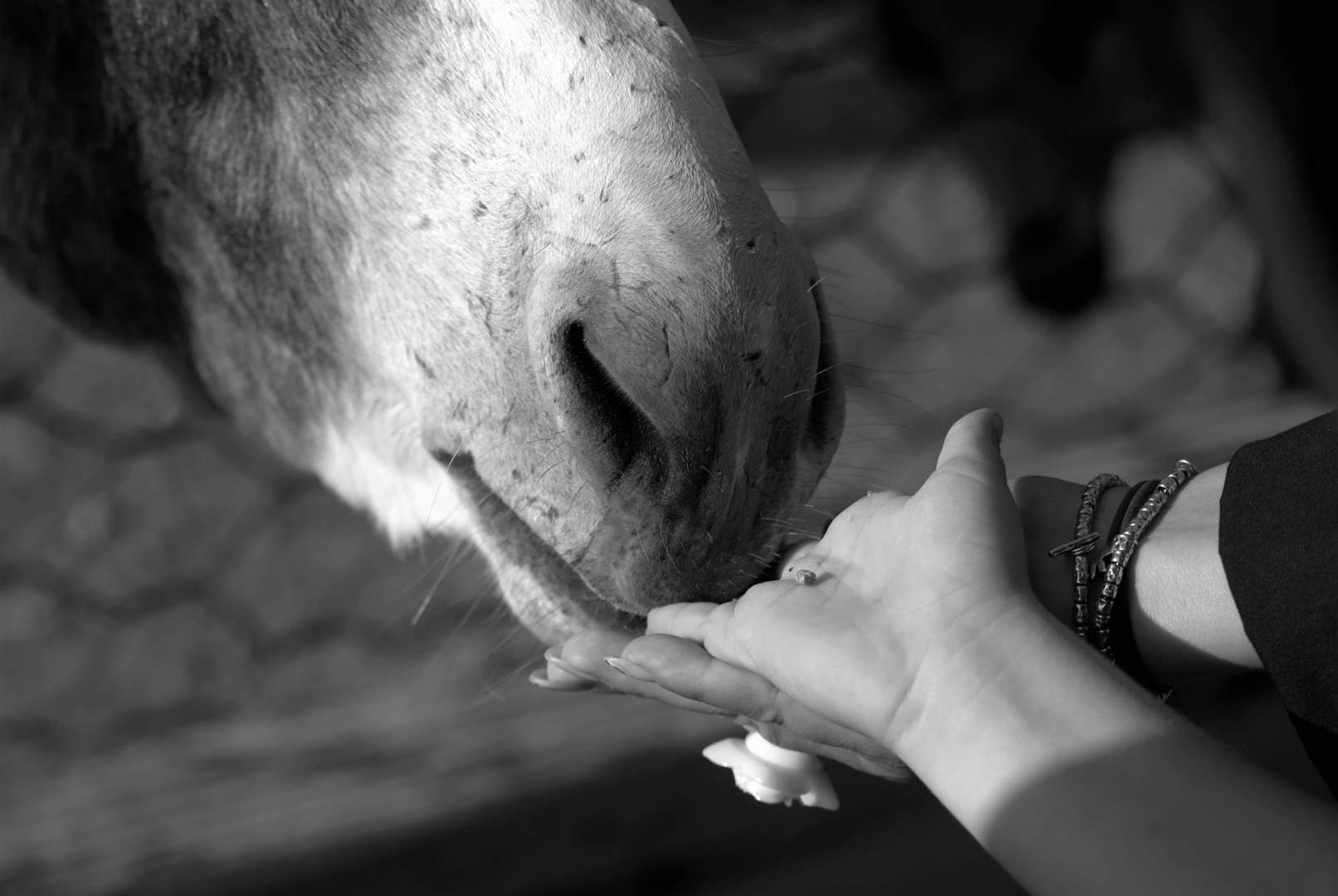 the hands...mommy and son