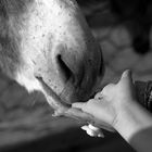 the hands...mommy and son