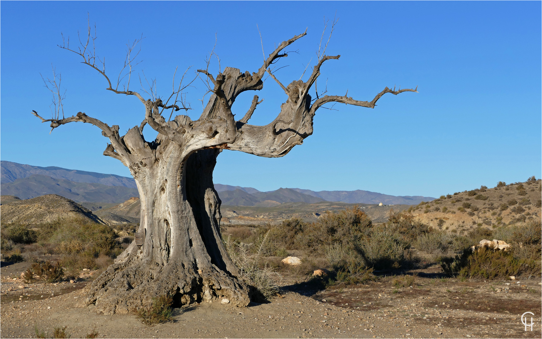 The Hangman's Tree in der Tabernas Wüste