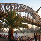 The Harbour Bridge