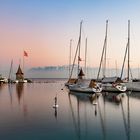 The Harbour in Morges