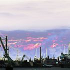 THE HARBOUR OF ANTWERP