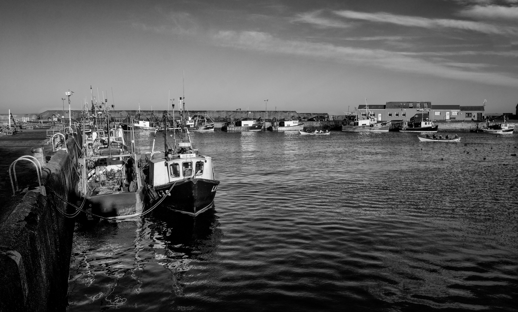 The Harbour Race