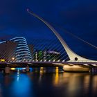 The Harp in Dublin bei Nacht