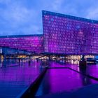 the harpa