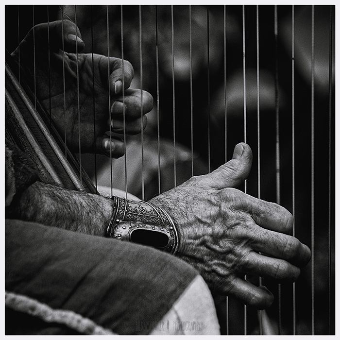 The Harpist