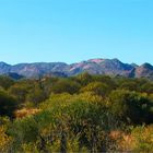 *** The Harts Ranges ***