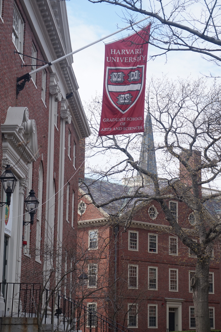 The Harvard University