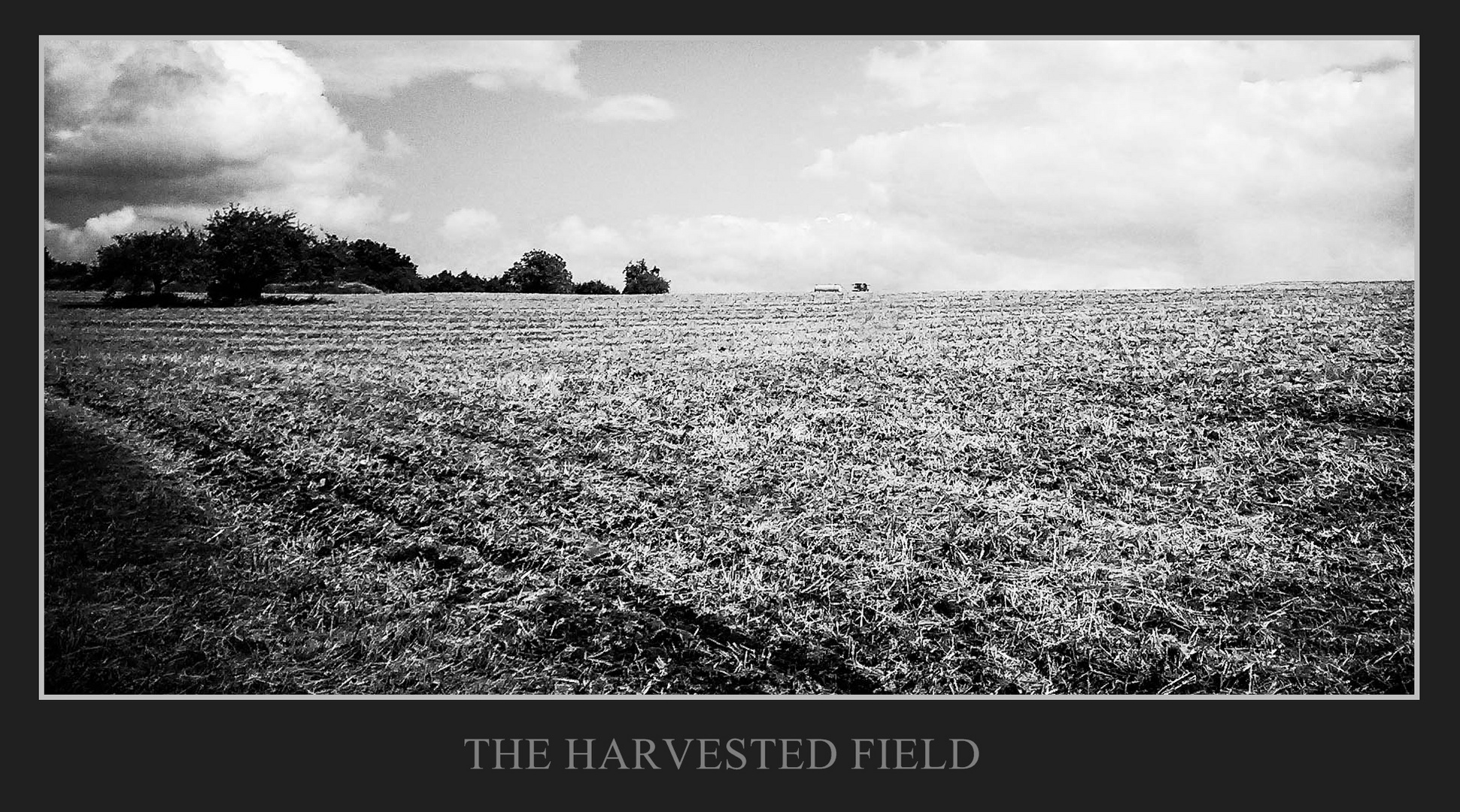 THE HARVESTED FIELD