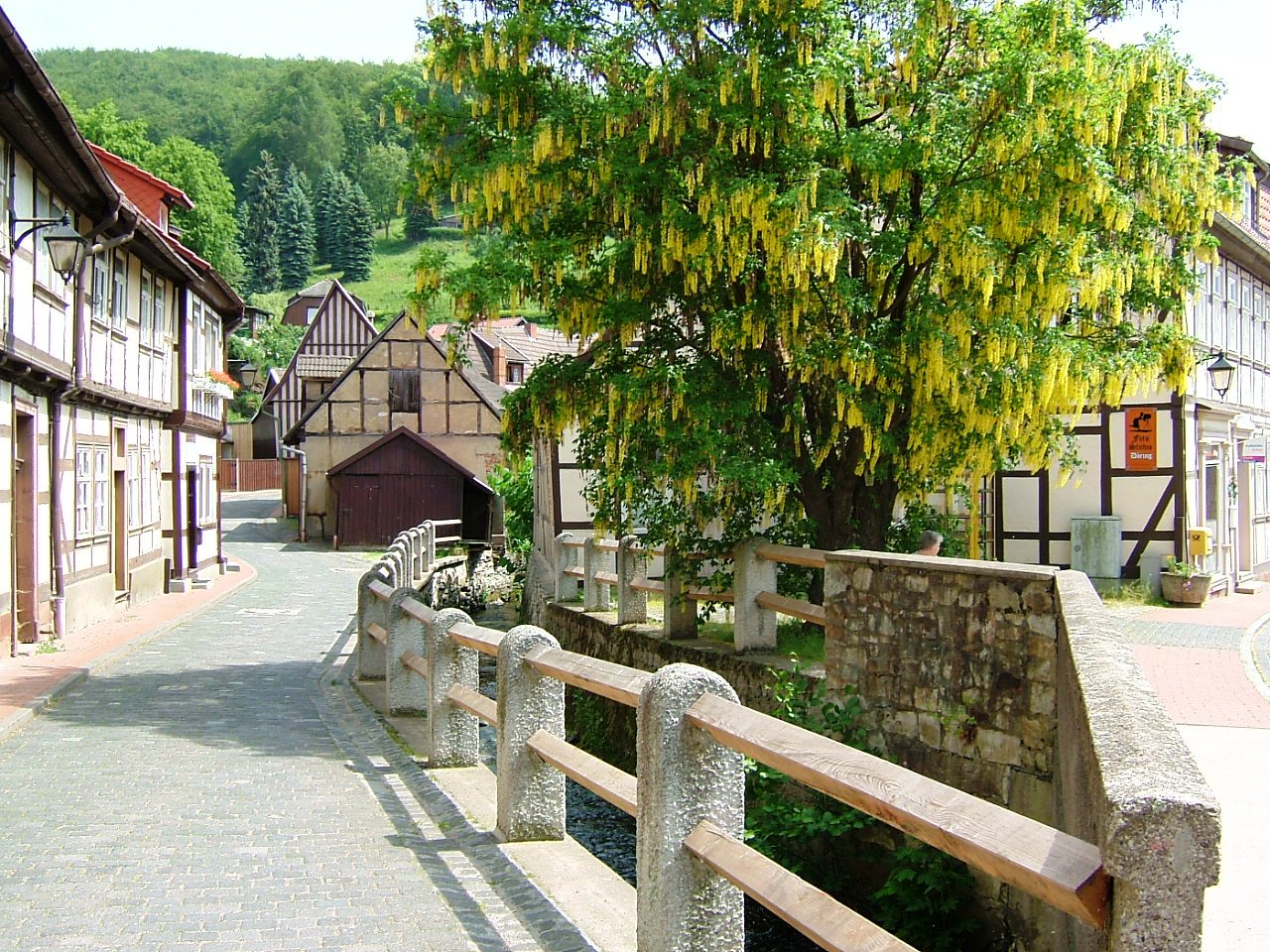 The Harz Mountains