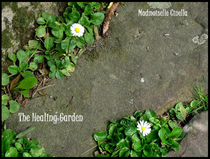 The Healing Garden ... **Am Wegesrand**