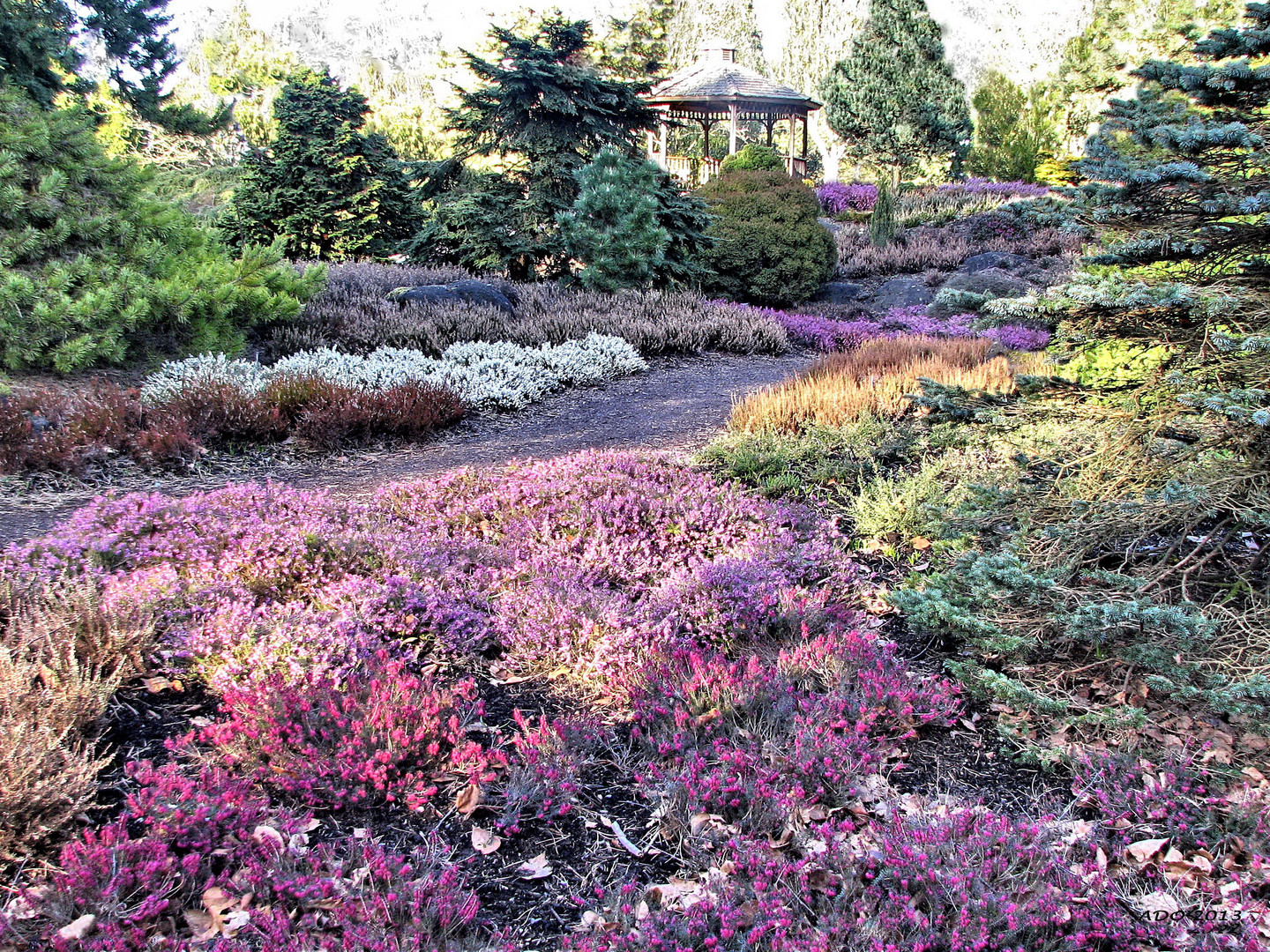 The Heather in March