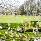 The heavenly bench 