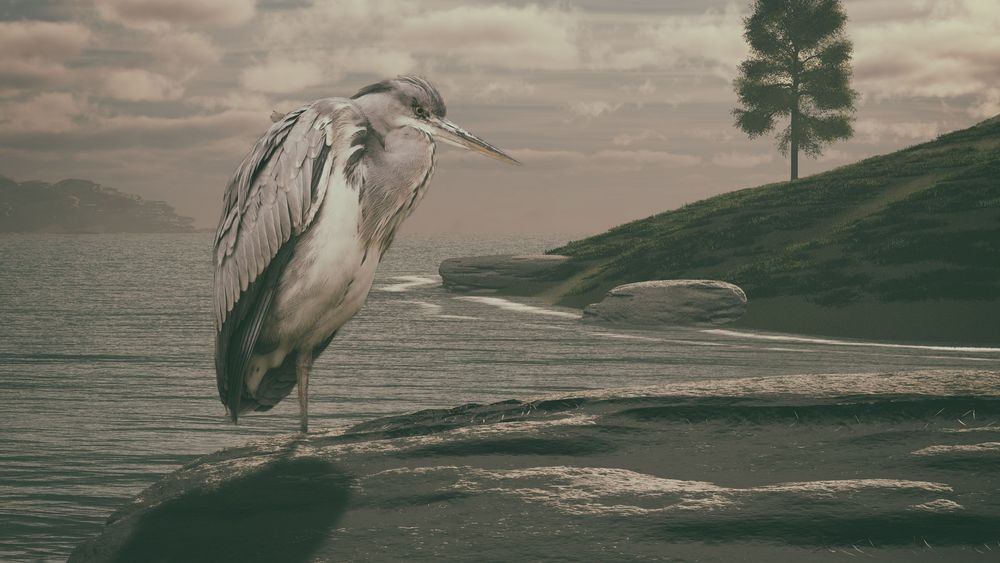 The Heron