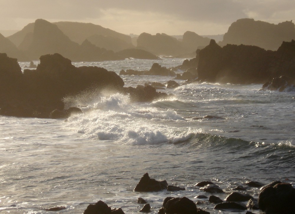 The Hesperides at Dusk