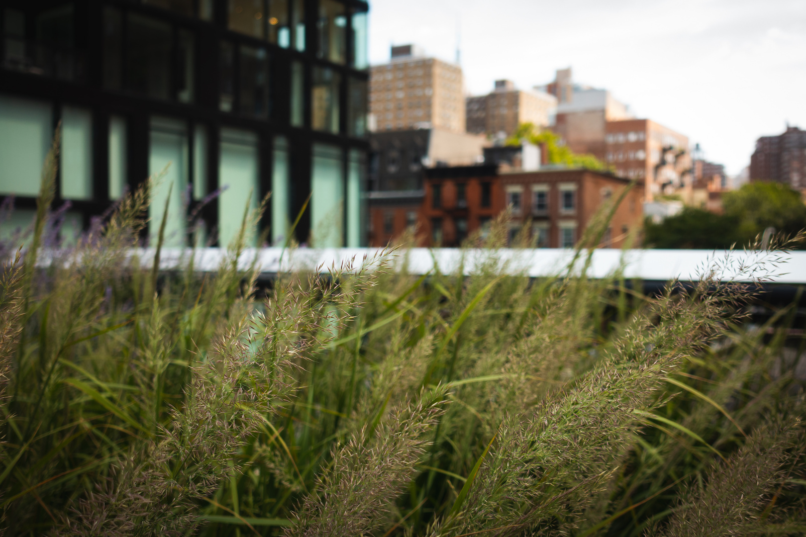 The High Line, New York City