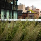The High Line, New York City