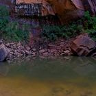 The Higher Emerald Pool - Zion National Park, Utah