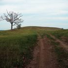 The hill at the end of the bike ride