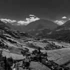 The hills of Bolzano