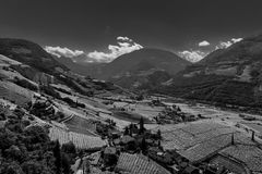 The hills of Bolzano