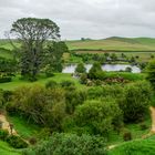 The Hobbiton