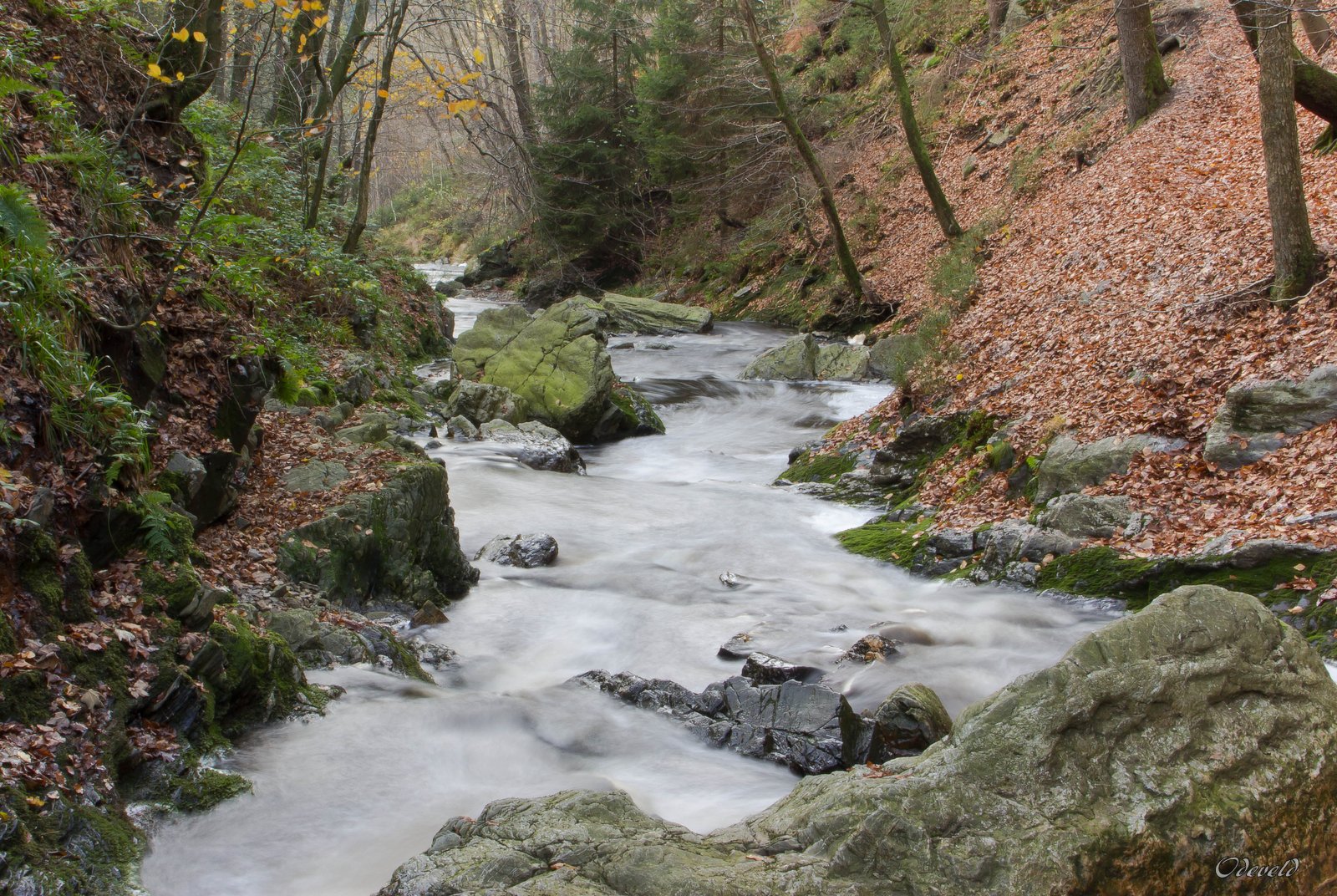 The Hoëgne near Cascade Leopold II