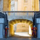 The Holy Guards of the Vatican