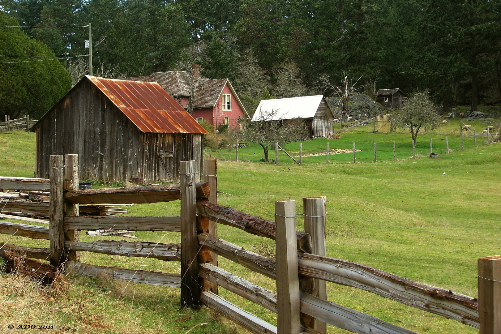 The Homestead