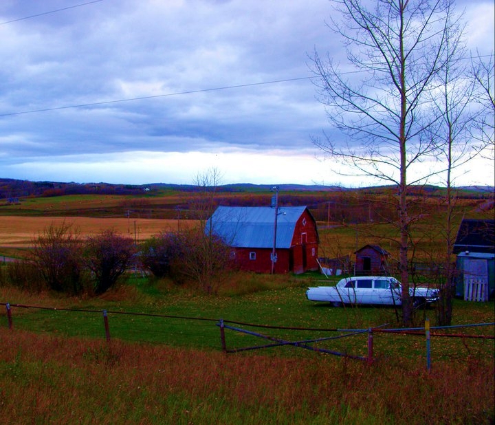 The Homestead and the Caddy