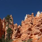 The Hoodoos...