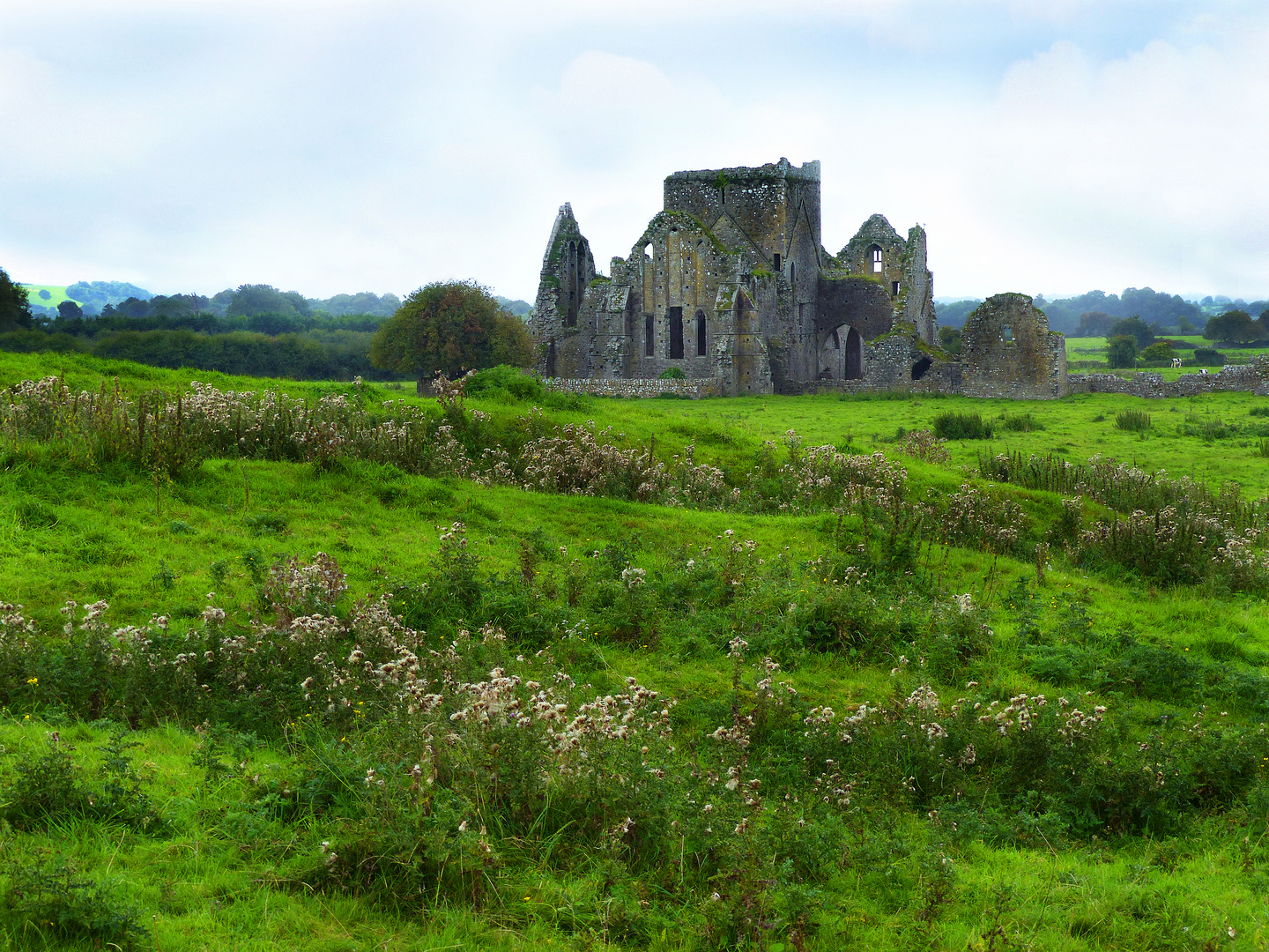 The Hore Abbey