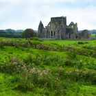 The Hore Abbey