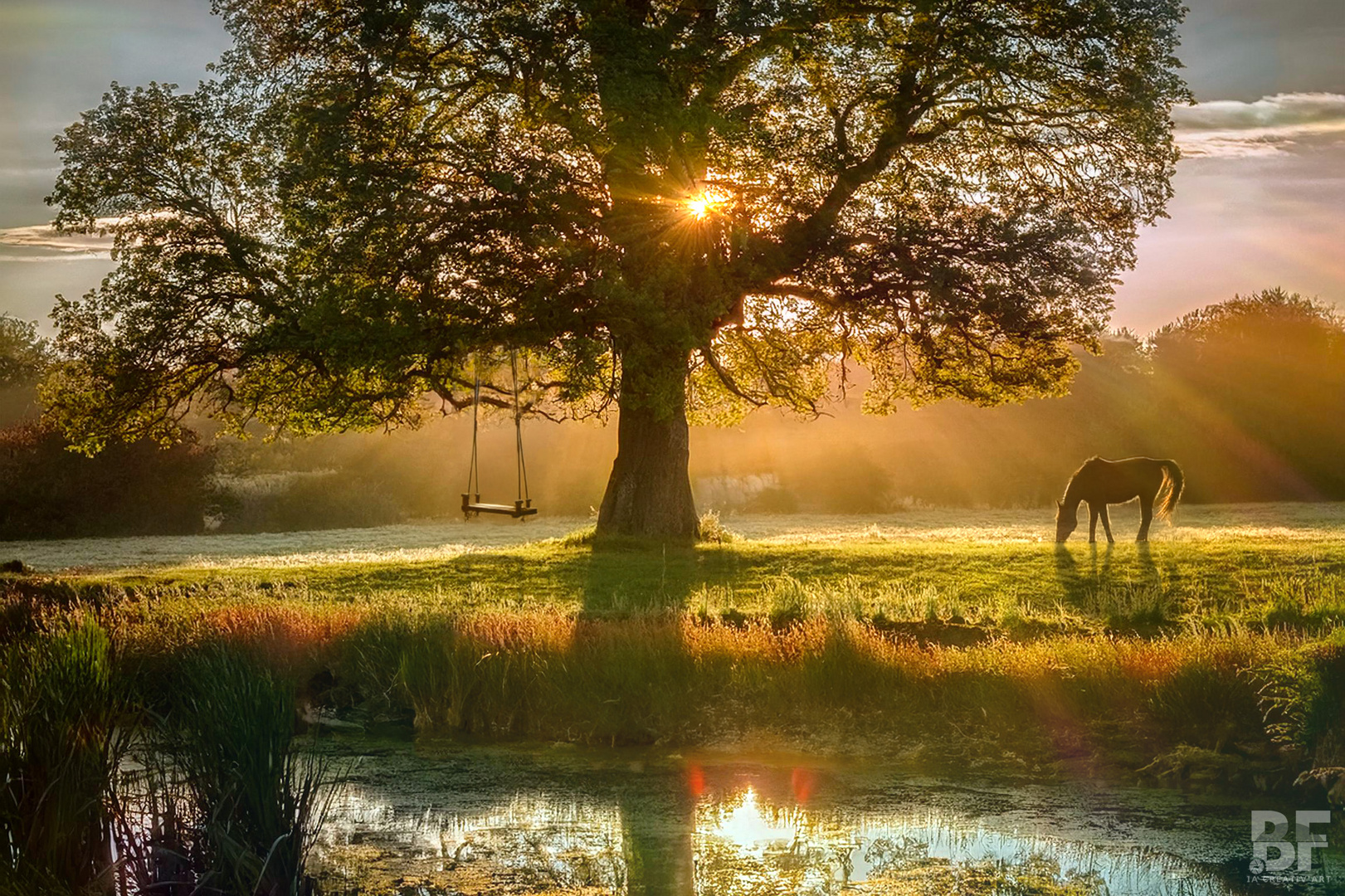 The horse and the swing