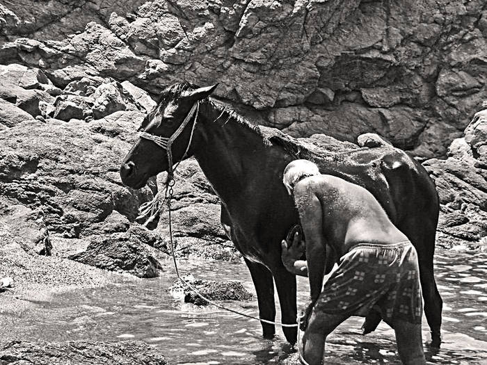 The Horse Bath