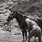 The Horse Bath