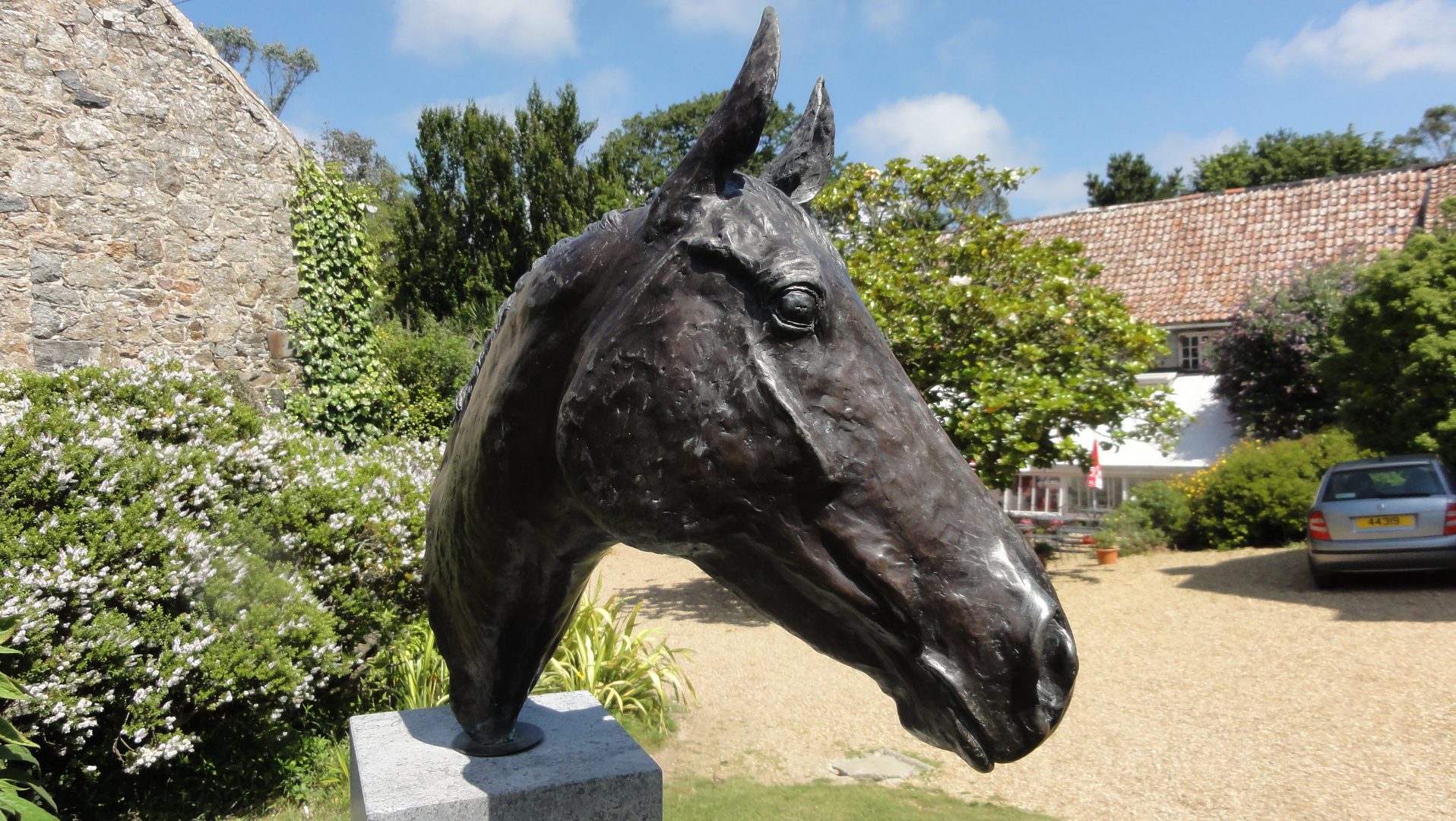 The horse head in bronze