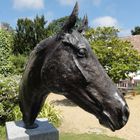 The horse head in bronze