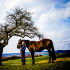 the horse-the rider