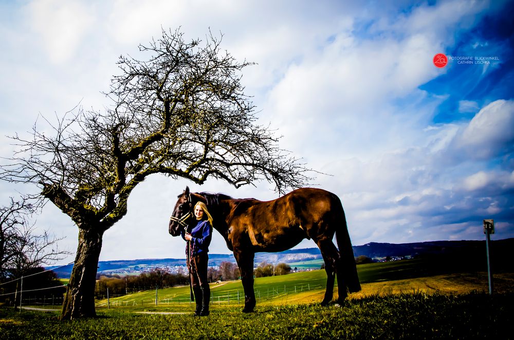 the horse-the rider