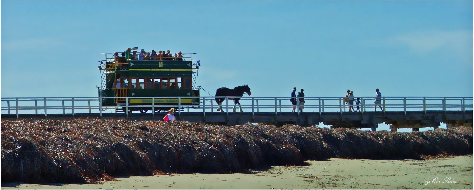 * the horse tram to granite island *