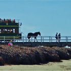 * the horse tram to granite island *