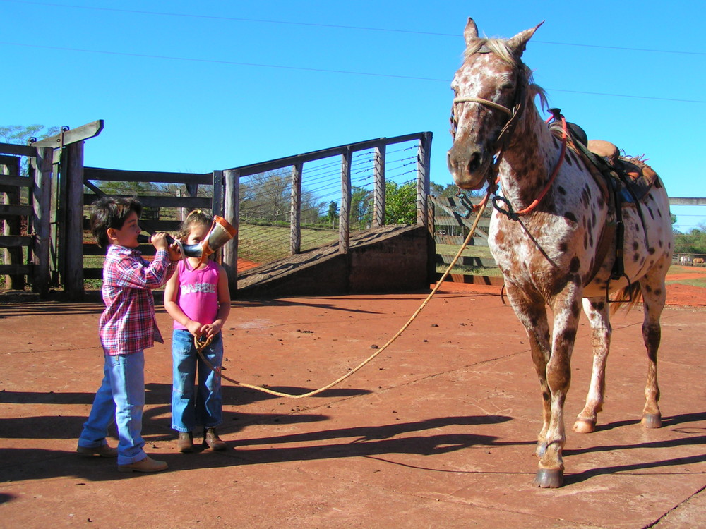 The Horse Whisperer