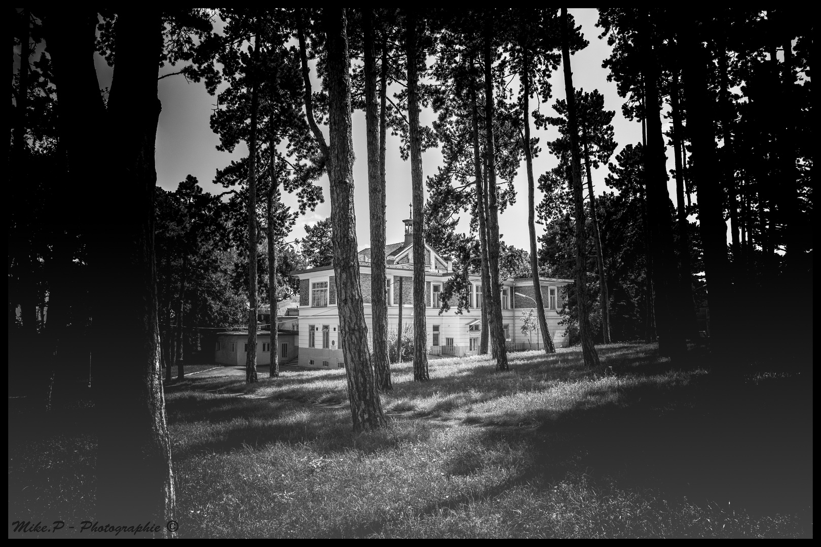 THE HOUSE BEHIND THE FOREST