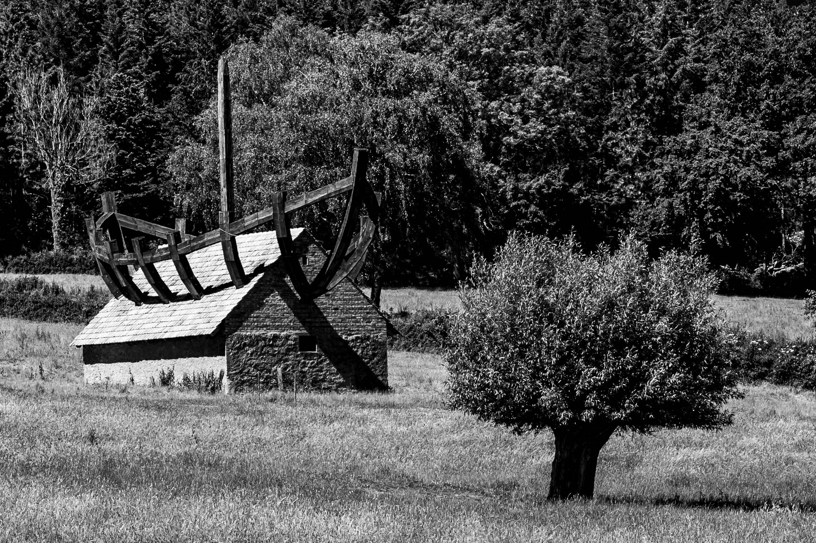 THE HOUSE IN THE BOAT