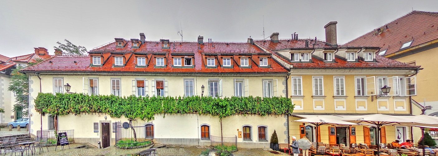 The House of the oldest Grapevine in the WORLD - SLOVENIA